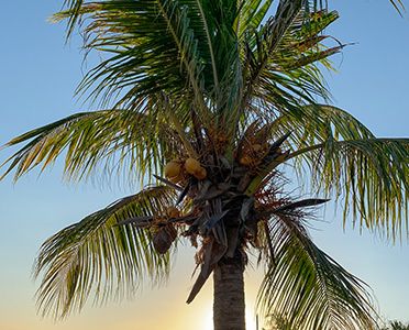 H_Bali-Sea-Villas Palm